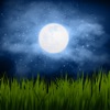 Curing Insomnia - Help Fall Asleep in Sleepy Time - iPadアプリ