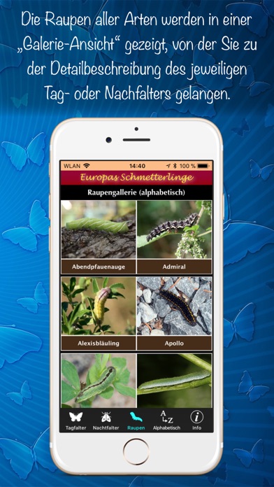 Europas Schmetterlinge Screenshot