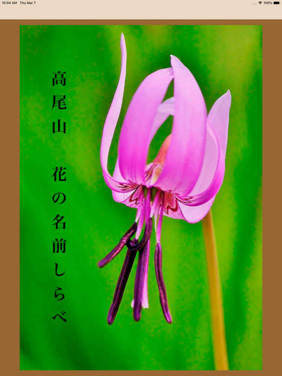 Screenshot #4 pour MtTakaoFlower