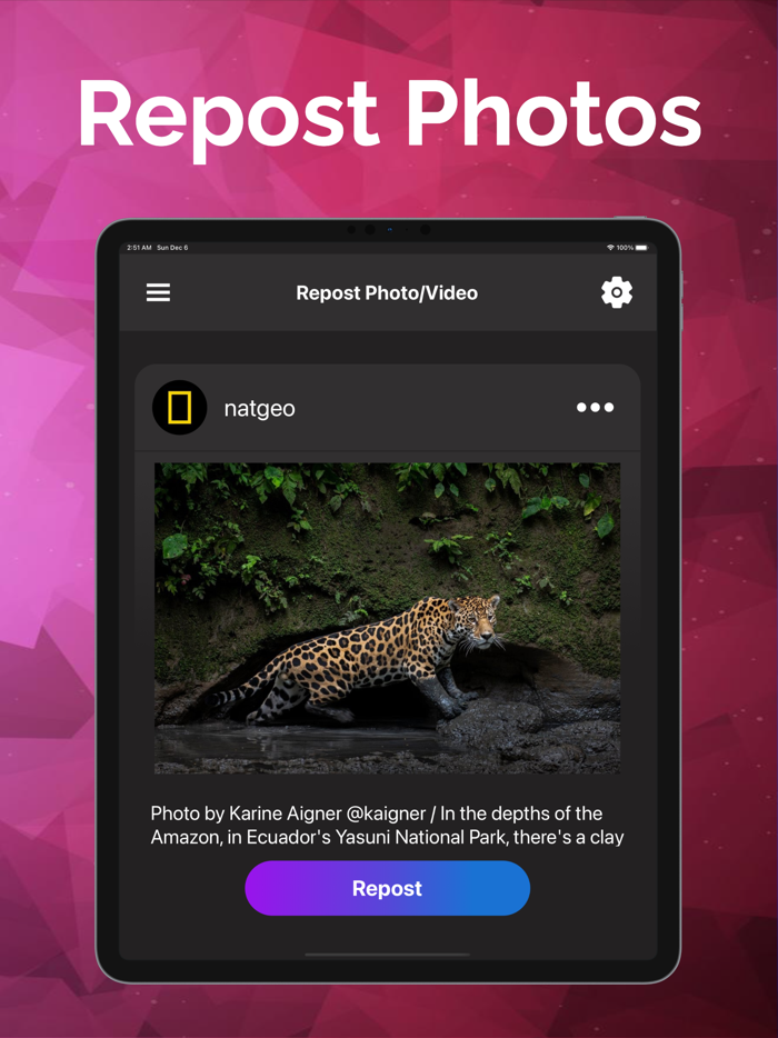 Video Downloader  Story Saver