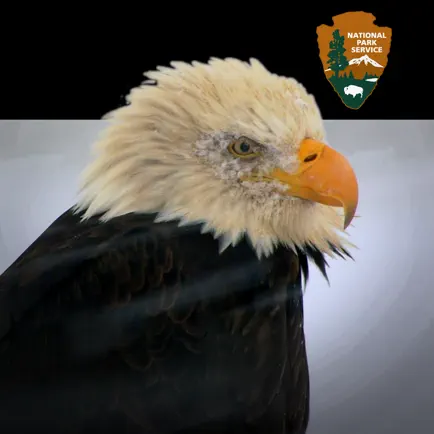 NPS Kenai Fjords Cheats