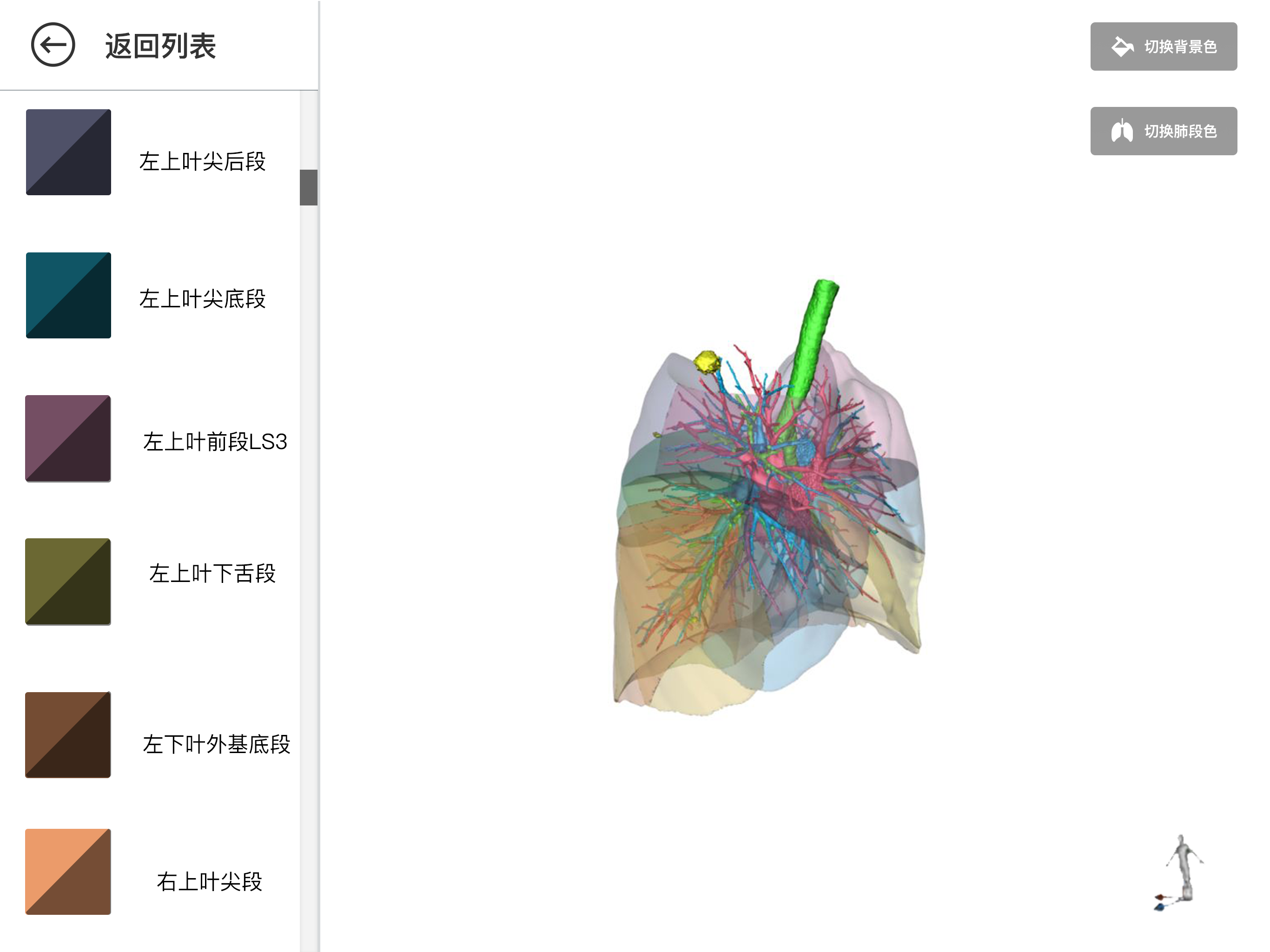 振源医疗三维重建可视化系统