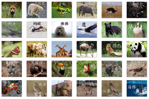 动物书 HD screenshot 3