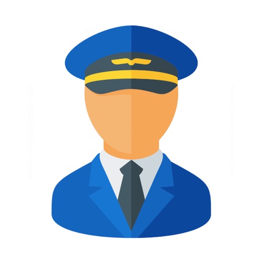 Airline Pilot Stickers