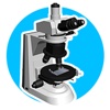 Microscope