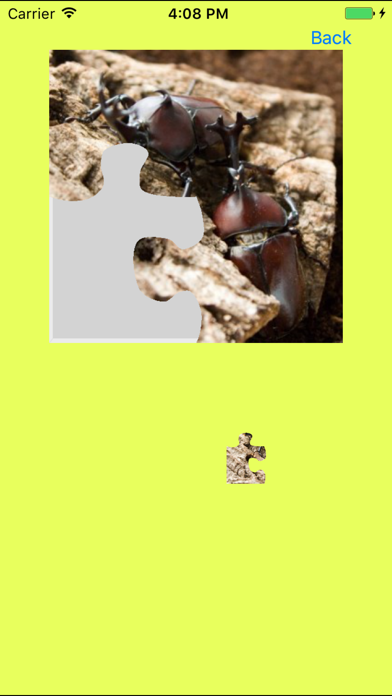 Screenshot #1 pour Rhinoceros Beetle Jigsaw Puzzle