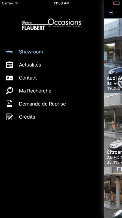 Flaubert Centre Occasions screenshot-3
