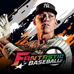 Fantastic Baseball App Positive Reviews