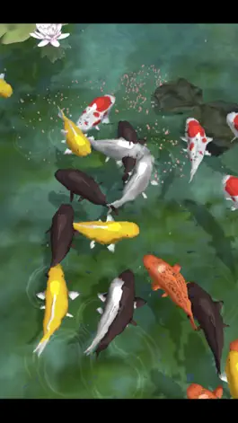 Game screenshot Carp bait -鯉に餌- apk