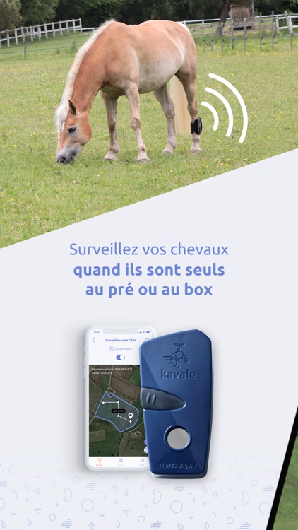 Kavale, sécurité équestre screenshot-6