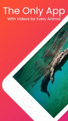 Game screenshot YipYap - Animal Discovery hack