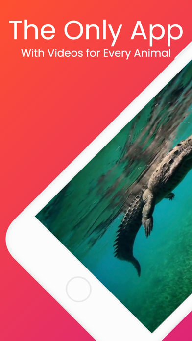 YipYap - Animal Discovery Screenshot