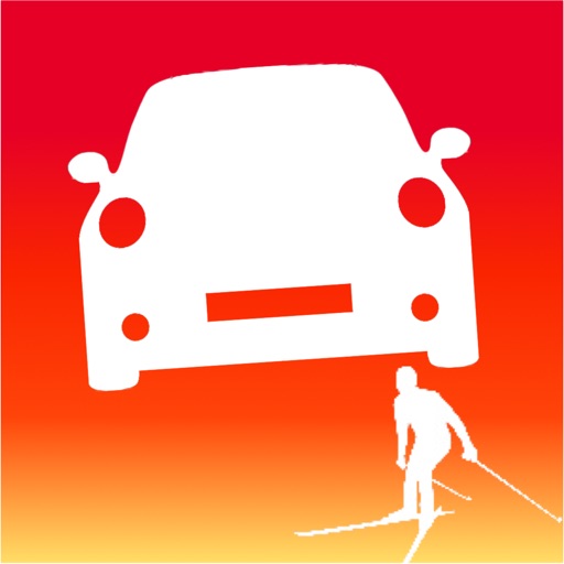 RallyTime Pro: Ski & Rally Car Timing app icon