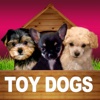 Toy Dogs - Opoly