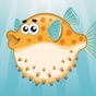 Puffer Fish app download