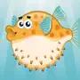 Puffer Fish