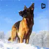 Arctic Shepherd Dog Simulator 2017 contact information