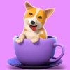 Pet Bar ! icon