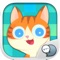 Meet the ginger cat,funny and super cute