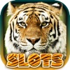 Icon Wild Tiger Slots Machine Games