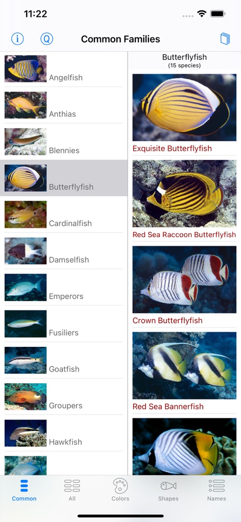 Red Sea Fish ID - Reference App | MWM
