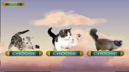 Game screenshot Laser Cats! apk