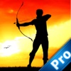 A Bow and Arrow Hero Pro - In the Countryside