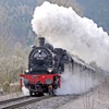 Directory of steam locomotive
