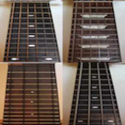 Super Guitar Fretboard Addict Читы