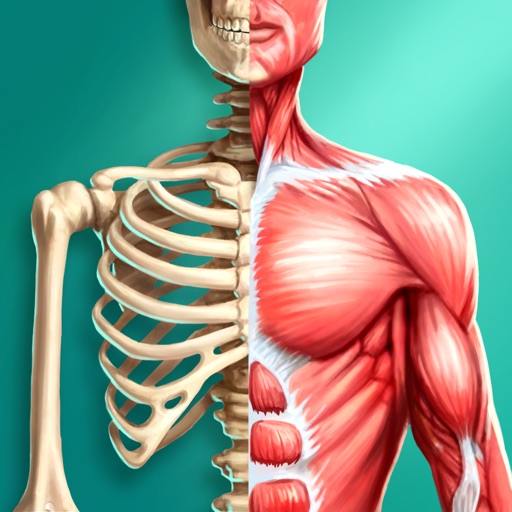 Discover Human Body Pro - Anatomy and Physiology Icon