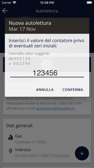 Gas Sales Screenshot