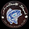 أسماك الاسكندراني icon