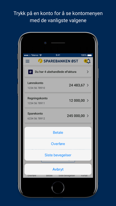 Sparebanken Øst Mobilbank Screenshot