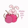 Pink Cute Rabbit Animated