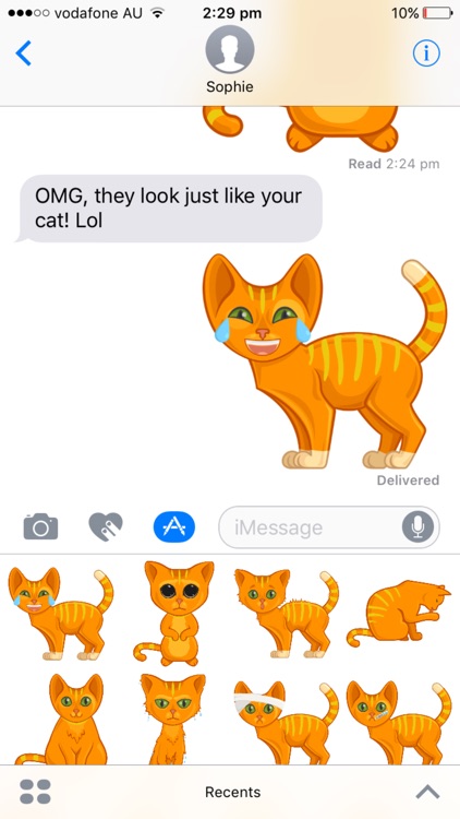 Ginger Tabby Cat Stickers
