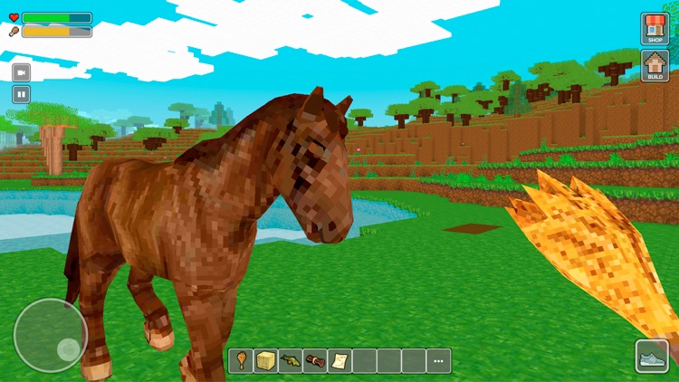 Craft World 3D: Sandbox Games screenshot-3