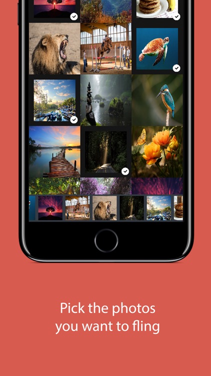 Fireball - Shake & Share Photos
