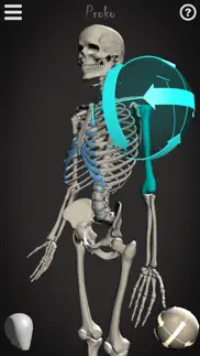 skelly - art model iphone screenshot 1