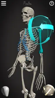 Skelly - Art Model iphone bilder 0