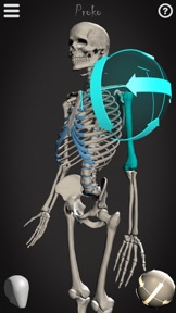Skelly - Art Model screenshot