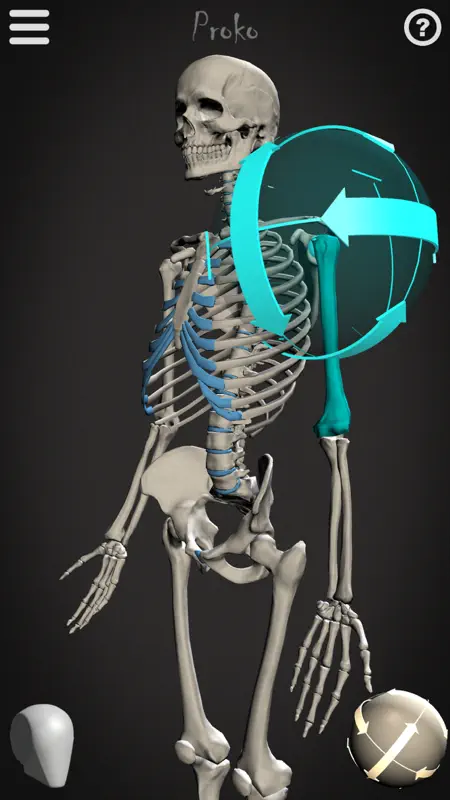 Skelly - Art Model screenshot 1 of 5