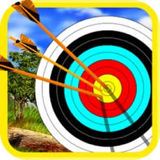 Activities of Archer Shoot Arrow Challenge