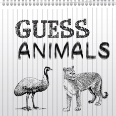Activities of Guess The Animal : Swipe the Character