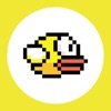 Pocket Bouncy Bird icon