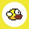 Icon Pocket Bouncy Bird