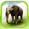 REAL ANIMALS HD - iPadアプリ