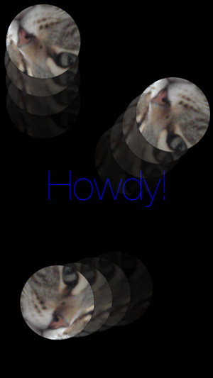Howdy Cat!