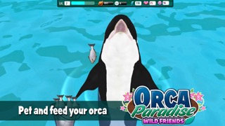 Orca Paradise: Wild Friendsのおすすめ画像4