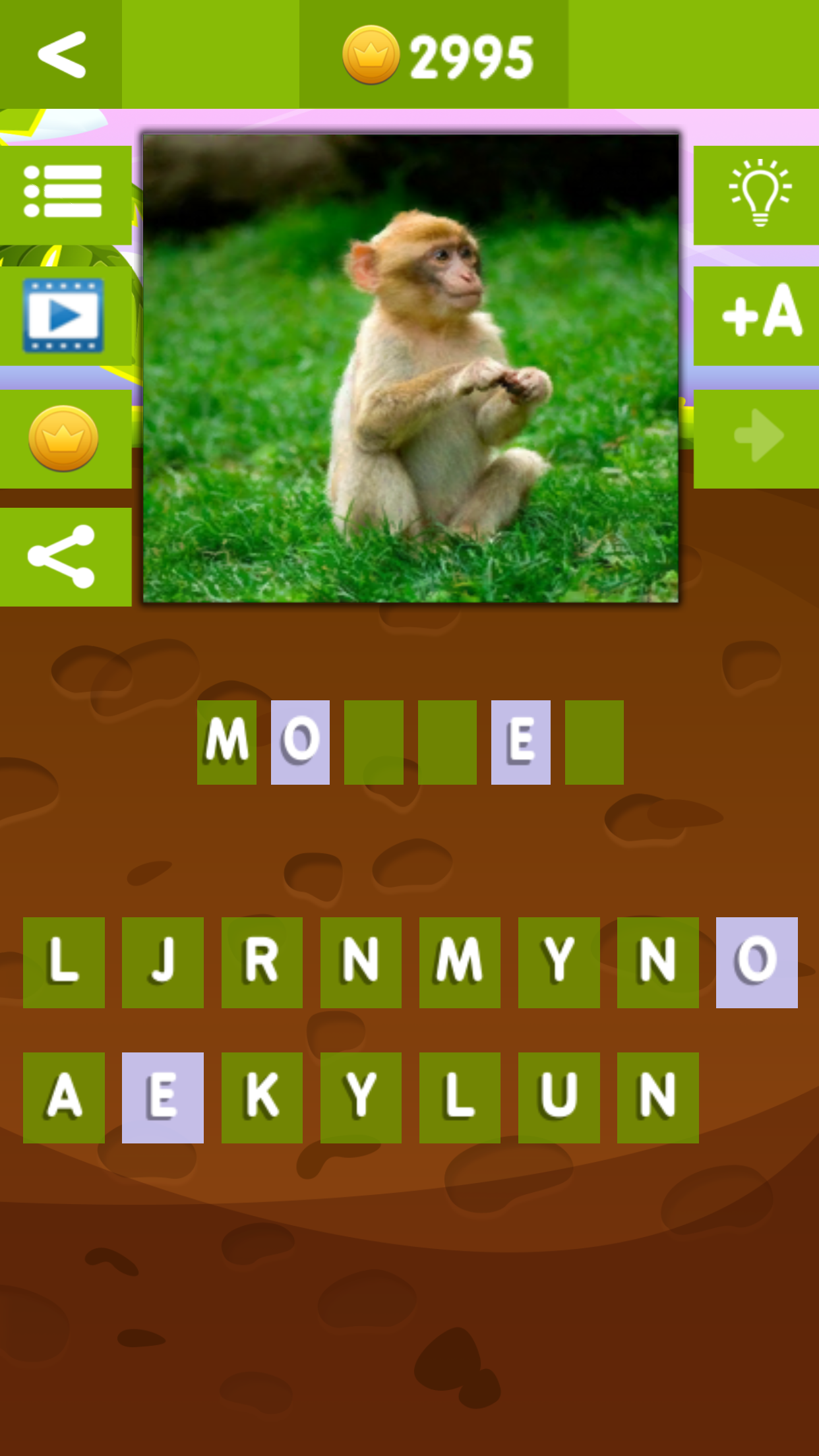 fun one pics quiz guess what the word trivia