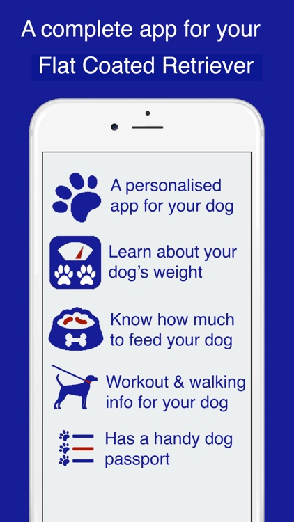 My Flat Coated Retriever